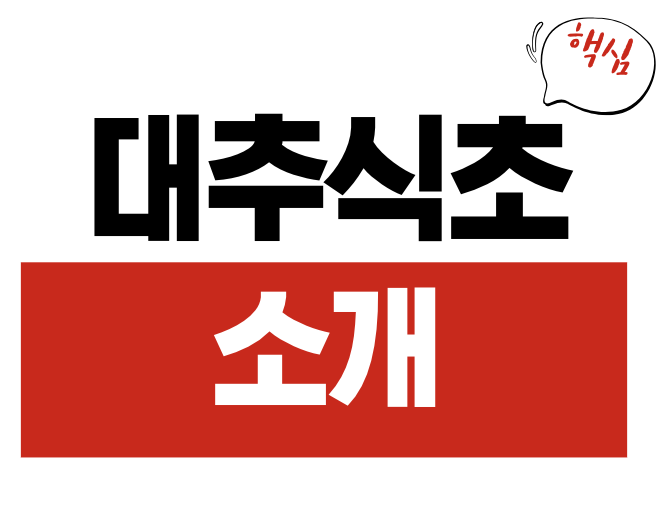 대추식초