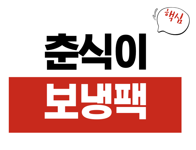 춘식이 보냉팩