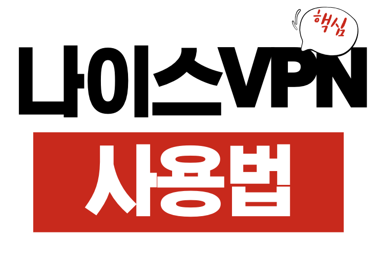 나이스 VPN
