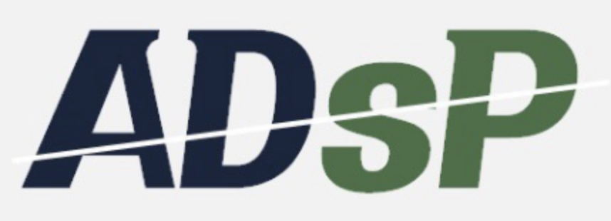 ADsP 자격증