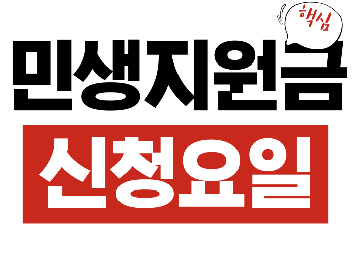 민생지원금