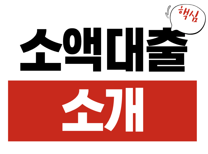 소액대출