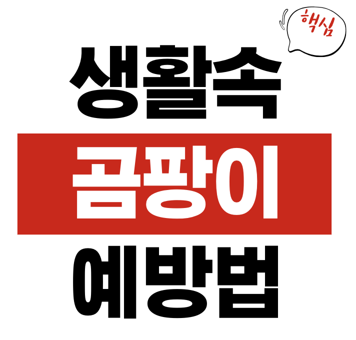 곰팡이 예방