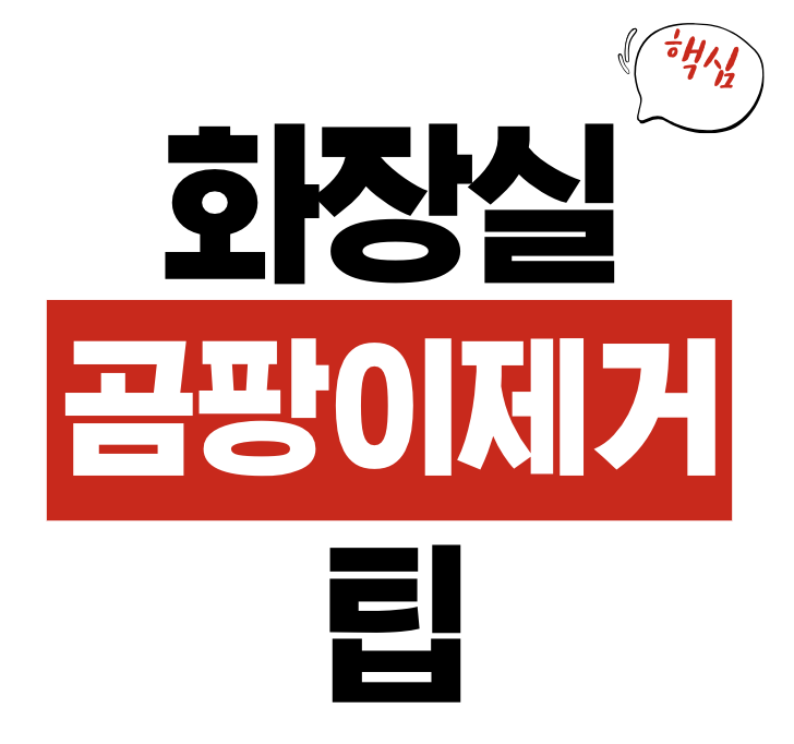 화장실 곰팡이 제거