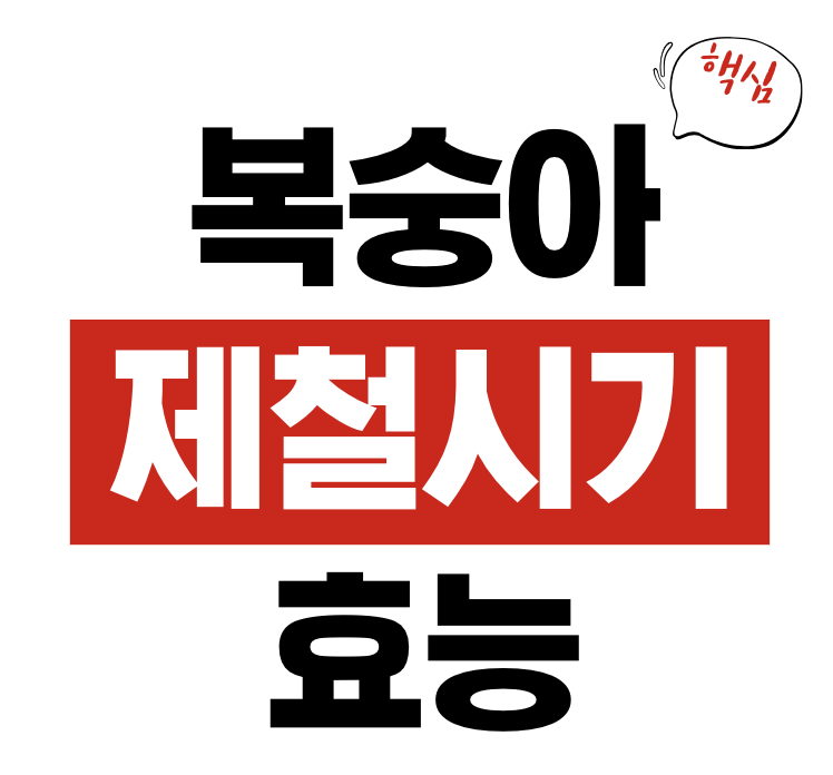 복숭아 효능