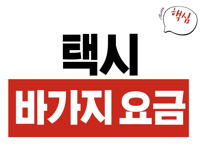 바가지 택시