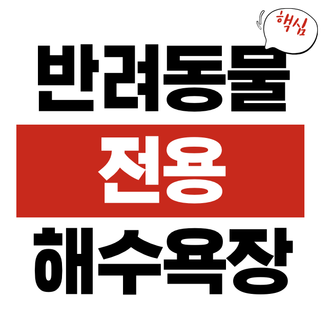 반려동물 전용 해수욕장