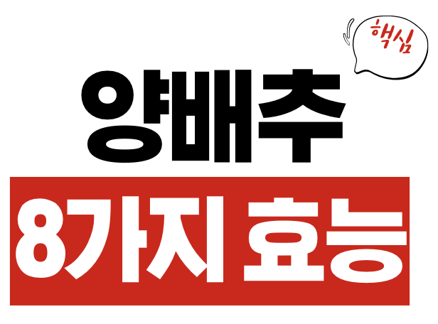 양배추