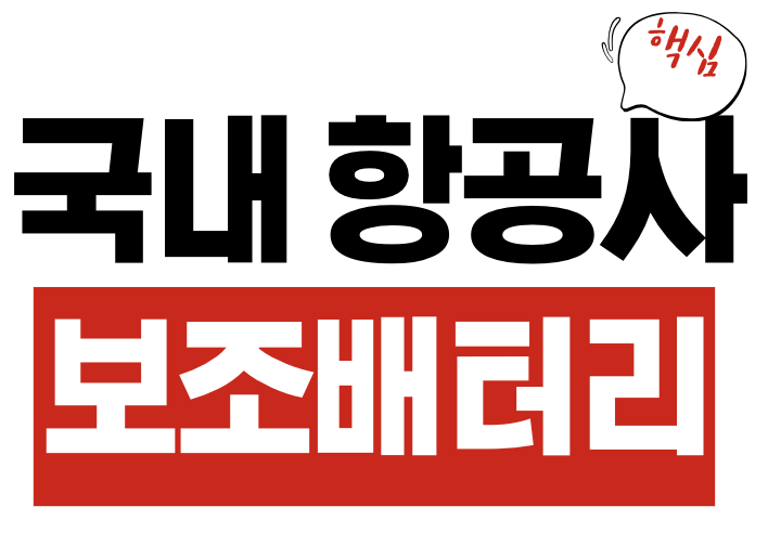 항공사 보조배터리