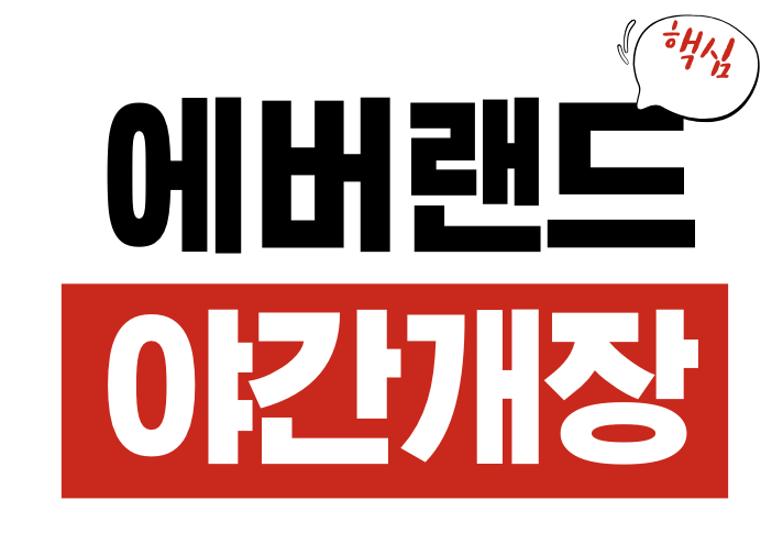 에버랜드 야간 개장