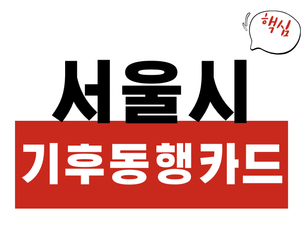 서울시 기후동행카드