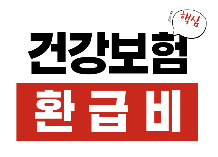 건강보험 환급액