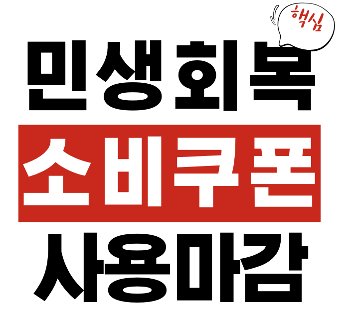 민생회복 소비쿠폰 소비기한