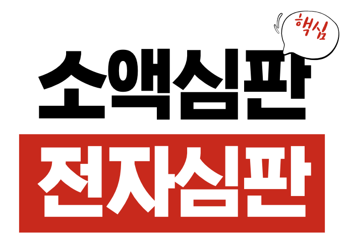 소액심판 전자소송