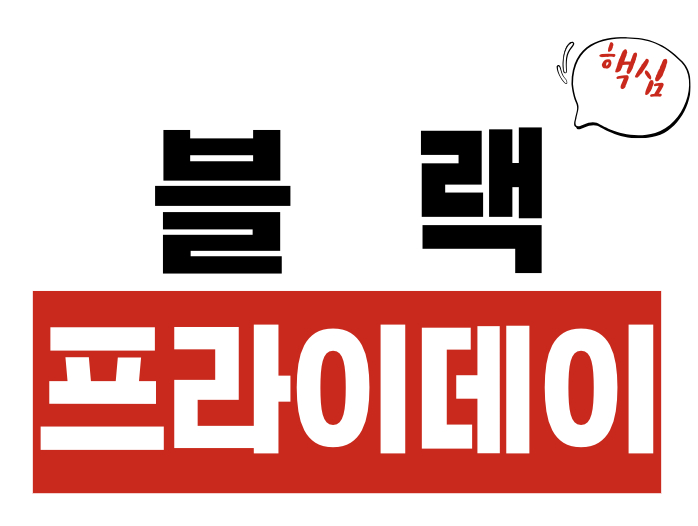 블랙프라이데이 할인