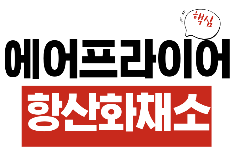 에어프라이어 항산화 채소